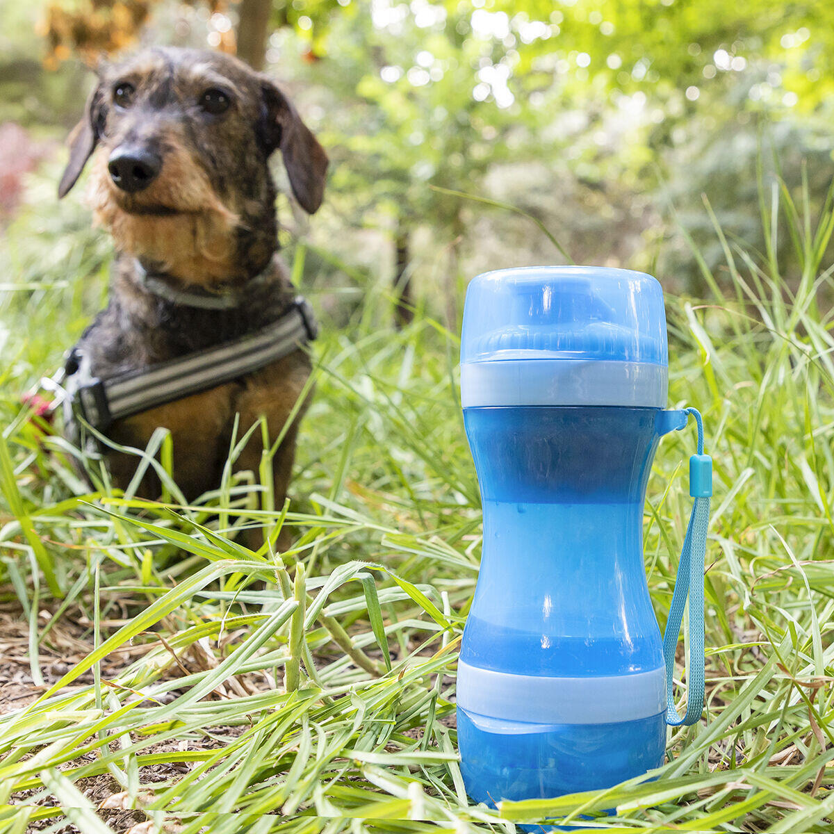 Botella con Depósito de Agua y Comida para Mascotas 2 en 1